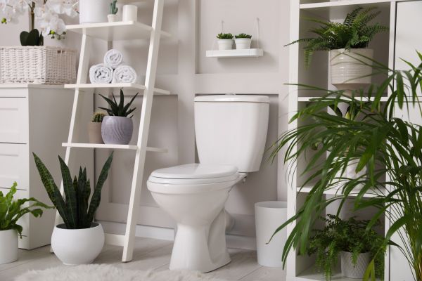 Cost of Toilet Repair in Spartanburg