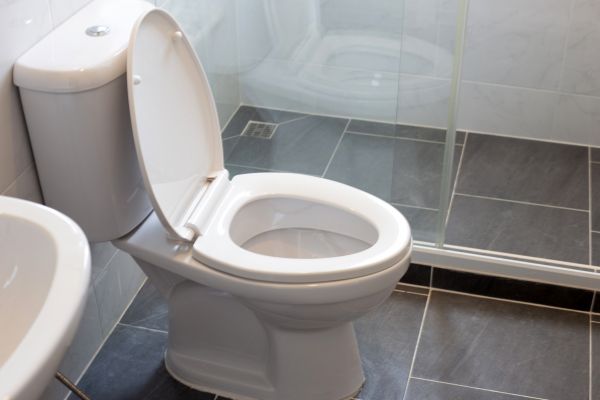 Cost of Toilet Replacement in Spartanburg