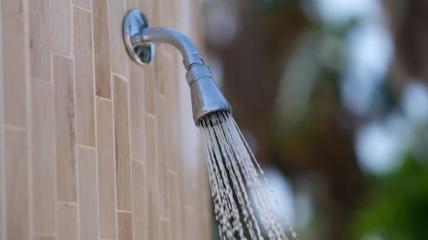 Cost of Showerhead Repair in Spartanburg