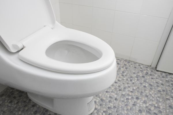 Cost of New Toilet Installation in Spartanburg